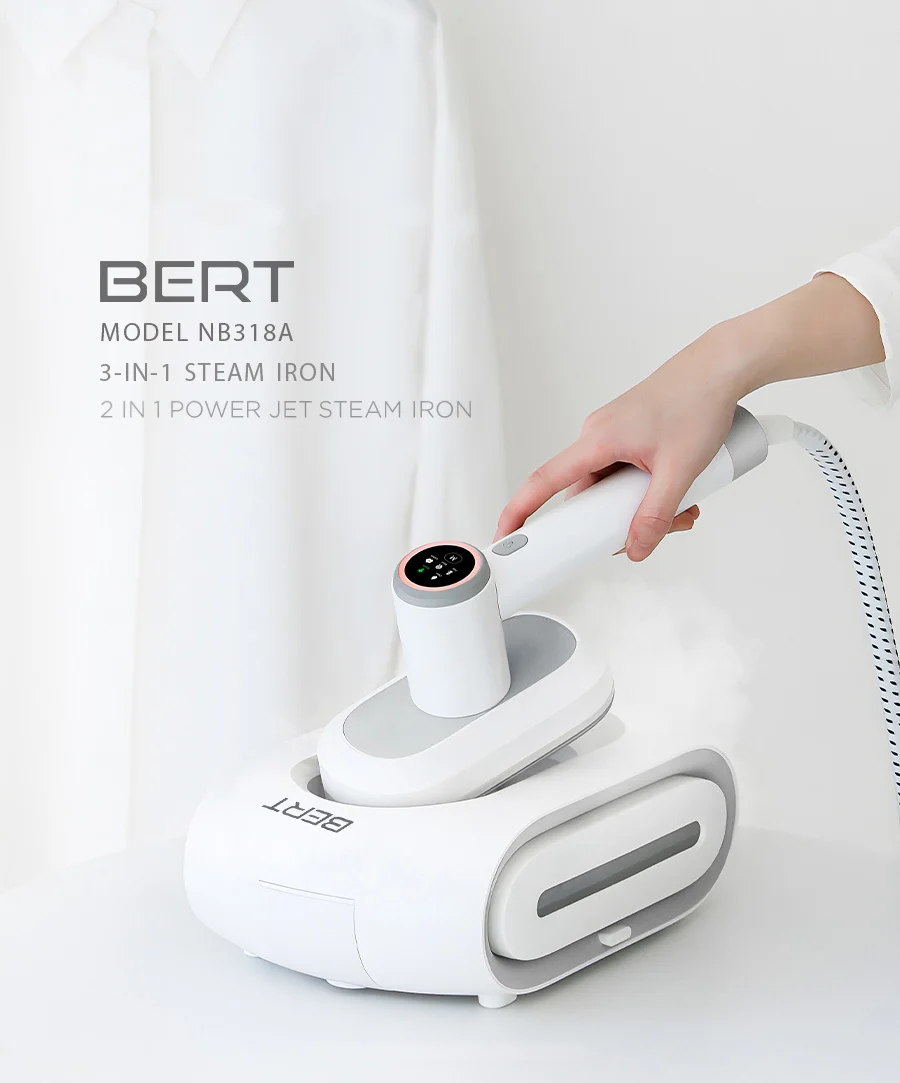 steam iron 01