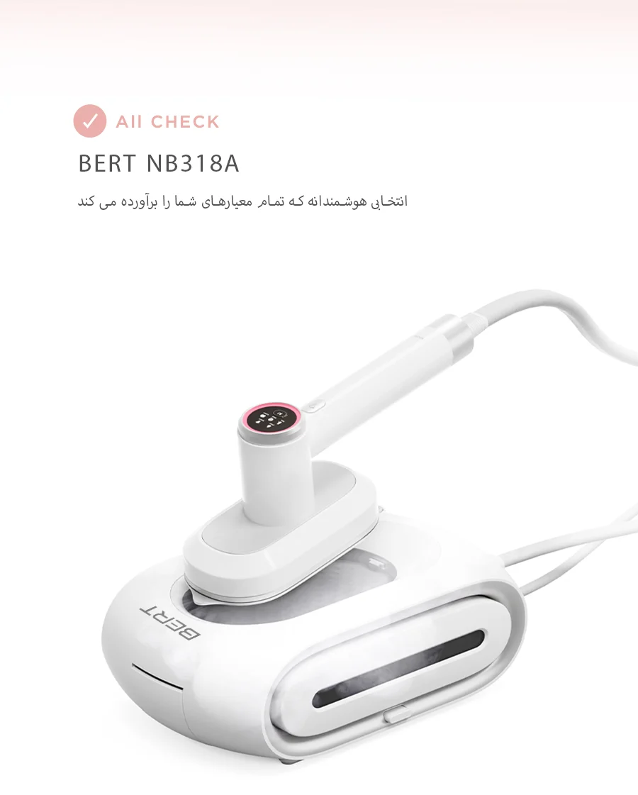 steam iron 04